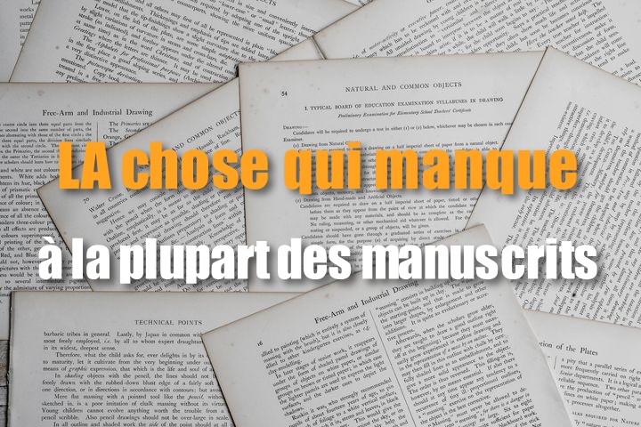 scribbook-blog-manque-dans-manuscrit